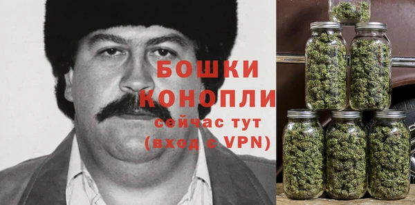 тгк Арсеньев